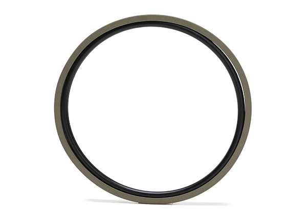 影響密封圈密封性能的六大因素，你知道嗎？